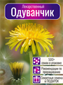 Одуванчик Лекарственный семена 500+ без Пуха! + Бонус + Рекомендации по Проращиванию 10448