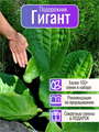 Подорожник Гигант семена более 100 шт + Бонус + Рекомендации по посеву 10451