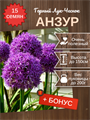 Анзур Горный Лук-Чеснок семена 15 шт + Бонус + Рекомендации по посадке 10457