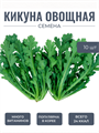 Кикуна Овощная семена 10 шт + Бонус + Рекомендации по проращиванию 10458