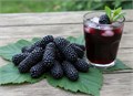 Ежевика ГИГАНТ Черный Бриллиант семена 10 шт + Бонус + Рекомендации по посадке БЕСПЛАТНО! 10478