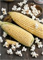 Кукуруза БЕЛАЯ ТУЧКА Сахарная семена 10шт + Бонус + Рекомендации по проращиванию 10484