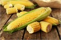 Кукуруза ЛАКОМКА Сахарная семена 10шт + Бонус + Рекомендации по проращиванию 10488
