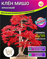 Клён Красный МИШО-Семена для Бонсай 5 шт + Бонус + Рекомендации по посеву БЕСПЛАТНО! 10055