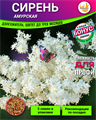 СИРЕНЬ Амурская семена 5шт + Советы по Посеву + Подарок 10493