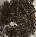 Литторелла Унифлора семена 20шт + Бонус + Рекомендации по проращиванию БЕСПЛАТНО 10521