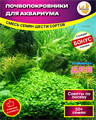 Почвопокровники для Аквариума семена 50шт + Бонус + Рекомендации по проращиванию БЕСПЛАТНО 10068
