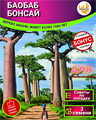 БАОБАБ Бонсай семена 3 шт + Советы по Посеву + Подарок 10071