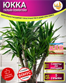 ЮККА Комнатная Семена 5 шт + Бонус + Рекомендации по посеву БЕСПЛАТНО! 10078