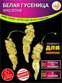 Белая Гусеница Перец Острый семена 5 шт + Бонус + Рекомендации по посеву БЕСПЛАТНО! 10088