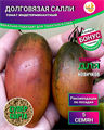 Томат Долговязая Салли семена 5 шт + Бонус + Рекомендации по посеву БЕСПЛАТНО! 10016