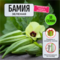 Бамия Зеленая семена 10шт со Своего Огорода + Советы по Посеву + Подарок 10113