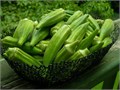 Бамия Зеленая семена 10шт со Своего Огорода + Советы по Посеву + Подарок 10113