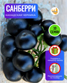 Санберри Канадская Черника семена 10 шт со Своего Сада + Советы по Посеву + Подарок 10134