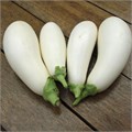Белый Баклажан семена 20 шт + Советы по Посеву + Подарок 10140