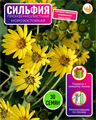 Сильфия Пронзённолистная семена 30шт + Бонус + Рекомендации по посеву БЕСПЛАТНО 10142