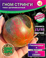 Томат Гном Стринги семена 20 шт + Бонус + Рекомендации по посеву БЕСПЛАТНО! 10024