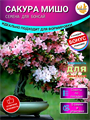 Сакура МИШО-Семена для Бонсай 5 шт + Бонус + Рекомендации по посеву БЕСПЛАТНО! 10154