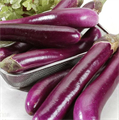 Пурпуная Обезьяна Тайский Баклажан семена 5 шт + Бонус + Рекомендации по посеву БЕСПЛАТНО! 10158