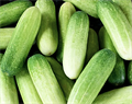 Тайский Огурчик семена 5шт + Бонус + Рекомендации по посеву БЕСПЛАТНО! 10166