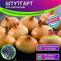 Лук ШТУТГАРТ Раннеспелый семена 20+ шт + Бонус + Рекомендации по посадке БЕСПЛАТНО! 10180