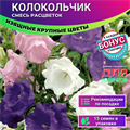 Колокольчик Махровый смесь окрасок семена 15шт + Бонус + Рекомендации по посеву БЕСПЛАТНО! 10187