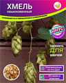ХМЕЛЬ Обыкновенный Семена 20шт + Бонус + Рекомендации по посеву БЕСПЛАТНО! 10205