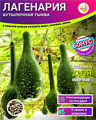 Тыква ЛАГЕНАРИЯ семена 5 шт + Советы по Посеву + Подарок 10207