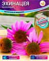 Эхинацея Пурпурная Лекарственная Семена 15 шт + Бонус + Рекомендации по посеву БЕСПЛАТНО! 10230