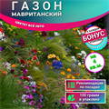 Газон МАВРИТАНСКИЙ семена 100г на 4кв.м. Цветёт Все Лето + Бонус + Рекомендации по посадке БЕСПЛАТНО! 10233
