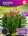 Канна Болотная семена 3шт + Бонус + Рекомендации по посеву БЕСПЛАТНО 10239