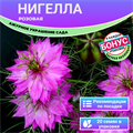 Нигелла Розовая Семена 20 шт + Бонус + Рекомендации по посеву БЕСПЛАТНО! 10241