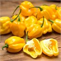 Хабанеро Желтый Перец Чили семена 5 шт + Бонус + Рекомендации по посеву БЕСПЛАТНО! 10254