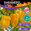 Хабанеро Желтый Перец Чили семена 5 шт + Бонус + Рекомендации по посеву БЕСПЛАТНО! 10254