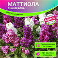 Маттиола Золушка МИКС расцветок семена 10 шт + Бонус + Рекомендации по посеву БЕСПЛАТНО! 10271