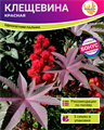 Красная Клещевина семена 5 шт + Бонус + Рекомендации по проращиванию БЕСПЛАТНО 10283
