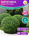 Живая Изгородь Бирючина 10 ягод + Бонус + Рекомендации по проращиванию БЕСПЛАТНО 10292