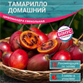 Тамарилло Домашний семена 5шт + Бонус + Рекомендации по посеву БЕСПЛАТНО! 10303