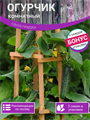 Огурчик Комнатный семена 5шт + Бонус + Рекомендации по посеву БЕСПЛАТНО! 10320