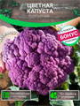 Цветная Капуста Пурпурная семена 10 шт + Бонус + Рекомендации по посеву БЕСПЛАТНО! 10331