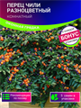 Перец Комнатный Чили Разноцветный семена 5 шт + Бонус + Рекомендации по посеву 10336