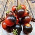 ТОМАТ-КАРЛИК Черри Комнатный Разноцветный семена 5шт + Бонус + Рекомендации по посеву БЕСПЛАТНО! 10339