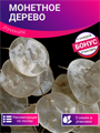 Монетное Дерево Лунник семена 5шт + Бонус + Рекомендации по посеву БЕСПЛАТНО! 10350