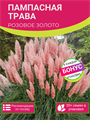Пампасная Трава Розовая семена более 20 шт + Бонус + Рекомендации по посеву 10364