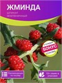 Жминда семена 10 шт + Бонус + Рекомендации по посеву БЕСПЛАТНО! 10376