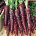 Морковь Пурпурная Супер Витаминная семена более 20шт + Бонус + Рекомендации по посеву БЕСПЛАТНО! 10393