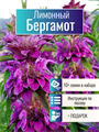 Лимонный Бергамот семена более 10шт + Бонус + Рекомендации по посеву БЕСПЛАТНО! 10394