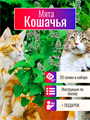 Кошачья Мята семена более 20шт + Бонус + Рекомендации по посеву БЕСПЛАТНО! 10395
