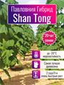 Павловния Гибрид Шан Тонг семена 20 шт + Бонус + Рекомендации по проращиванию БЕСПЛАТНО! 10403