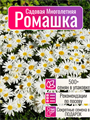 Ромашка Садовая Многолетняя семена более 500 шт + Бонус + Рекомендации по посеву БЕСПЛАТНО! 10407